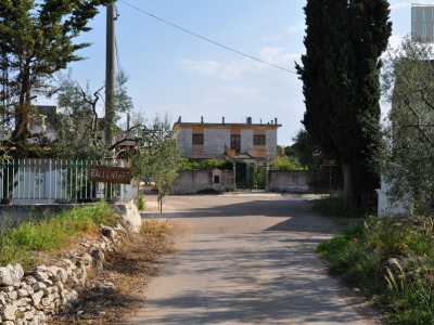 Sull'altro ciglio della strada invece da un'inferriata pende un cartello marrone con la scritta bianca "rallentare": pi� che un avvertimento per gli automobilisti sembra un invito a dimenticare la frenesia urbana